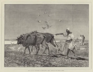 Egypt as It Is, Ploughing in Lower Egypt